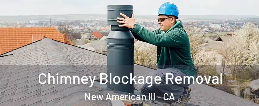Chimney Blockage Removal New American III - CA
