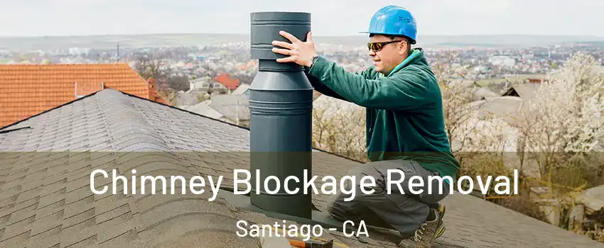 Chimney Blockage Removal Santiago - CA