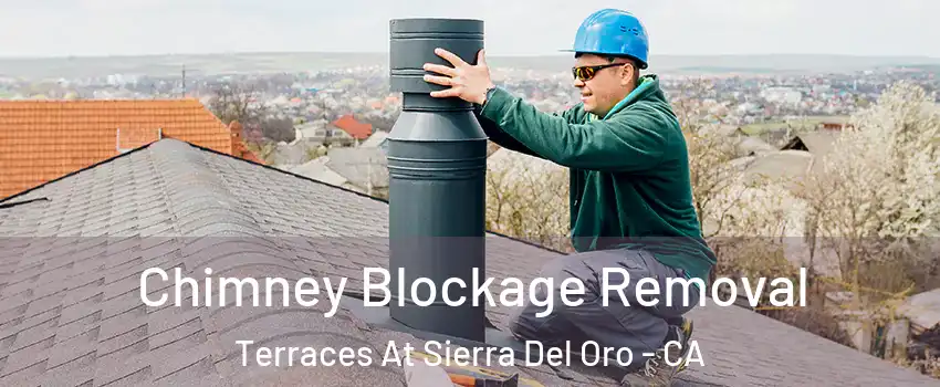 Chimney Blockage Removal Terraces At Sierra Del Oro - CA