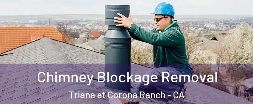 Chimney Blockage Removal Triana at Corona Ranch - CA