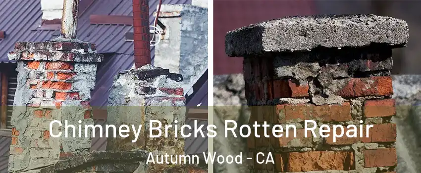 Chimney Bricks Rotten Repair Autumn Wood - CA