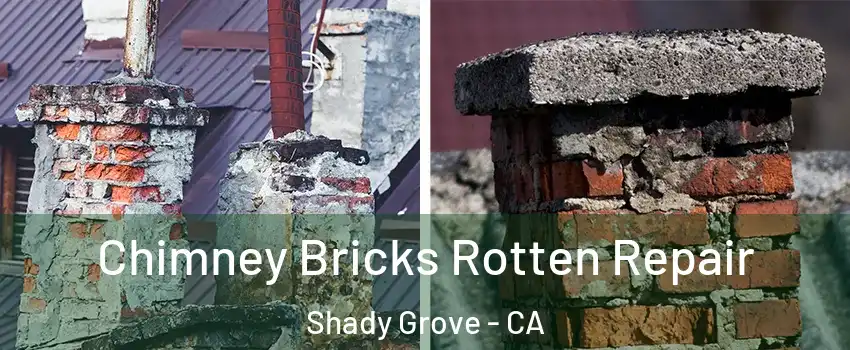 Chimney Bricks Rotten Repair Shady Grove - CA
