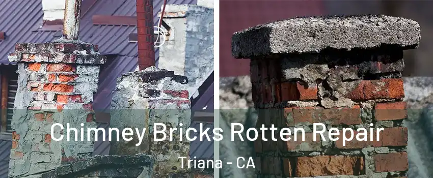 Chimney Bricks Rotten Repair Triana - CA