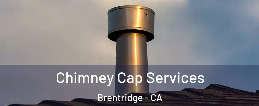 Chimney Cap Services Brentridge - CA