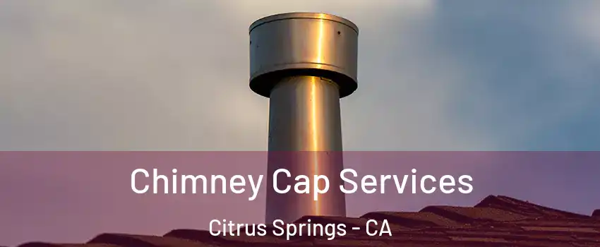 Chimney Cap Services Citrus Springs - CA