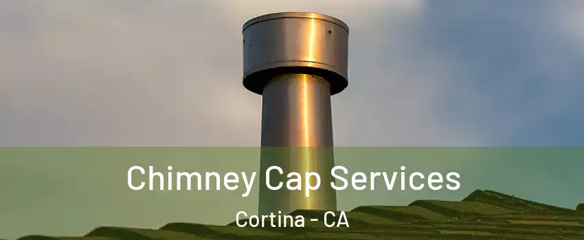 Chimney Cap Services Cortina - CA