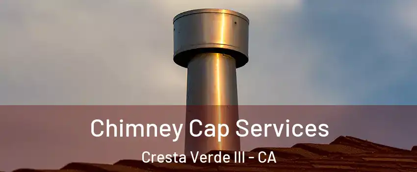 Chimney Cap Services Cresta Verde III - CA