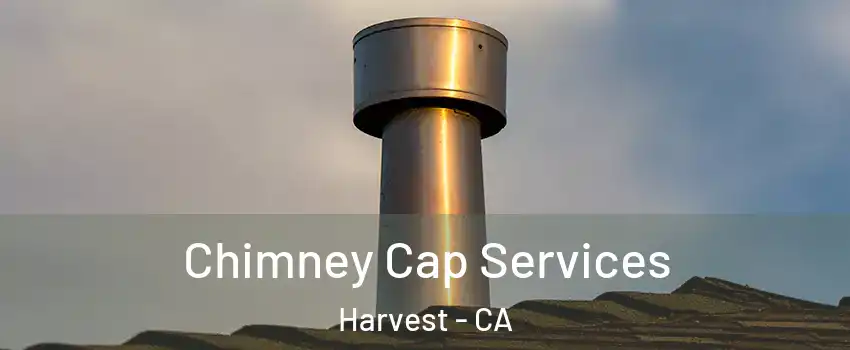 Chimney Cap Services Harvest - CA