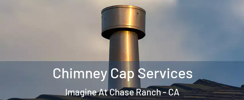 Chimney Cap Services Imagine At Chase Ranch - CA