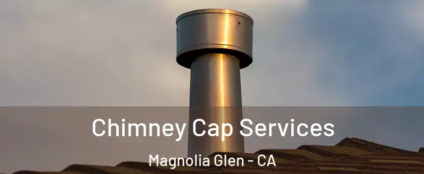 Chimney Cap Services Magnolia Glen - CA