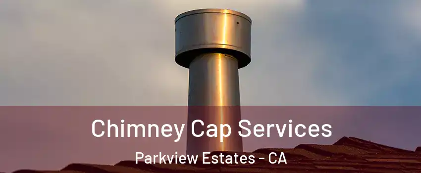 Chimney Cap Services Parkview Estates - CA