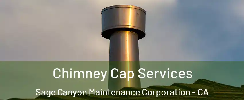 Chimney Cap Services Sage Canyon Maintenance Corporation - CA
