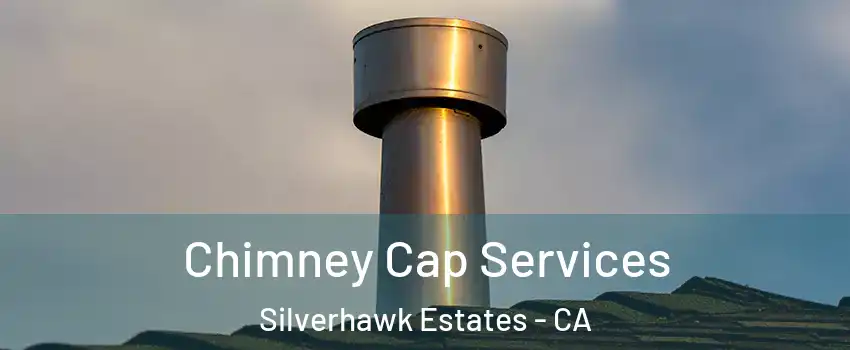 Chimney Cap Services Silverhawk Estates - CA