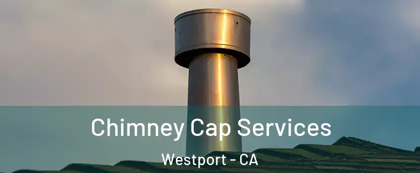 Chimney Cap Services Westport - CA