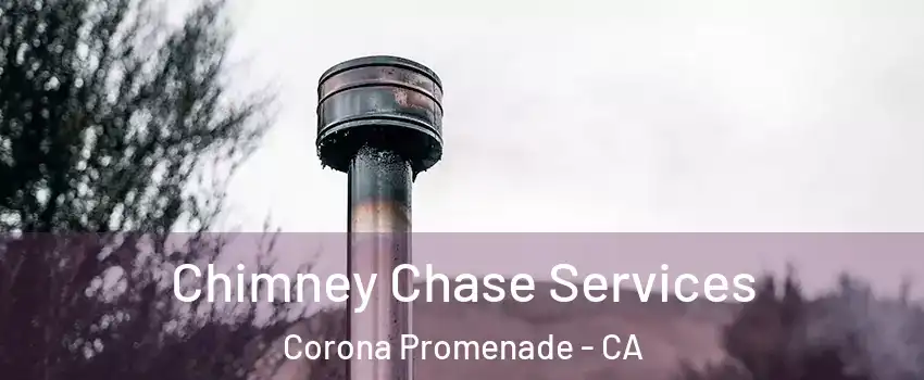 Chimney Chase Services Corona Promenade - CA
