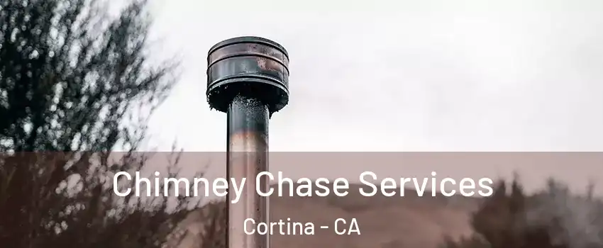 Chimney Chase Services Cortina - CA