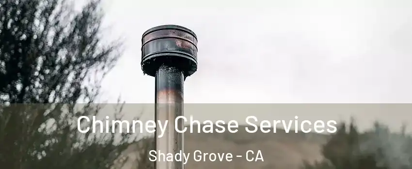 Chimney Chase Services Shady Grove - CA