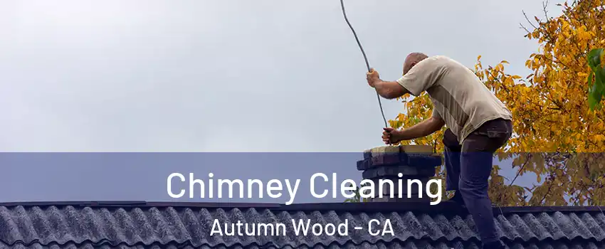Chimney Cleaning Autumn Wood - CA