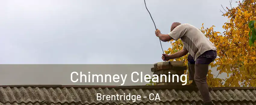 Chimney Cleaning Brentridge - CA