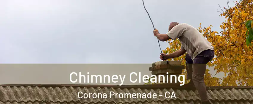 Chimney Cleaning Corona Promenade - CA