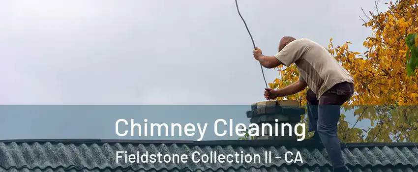 Chimney Cleaning Fieldstone Collection II - CA