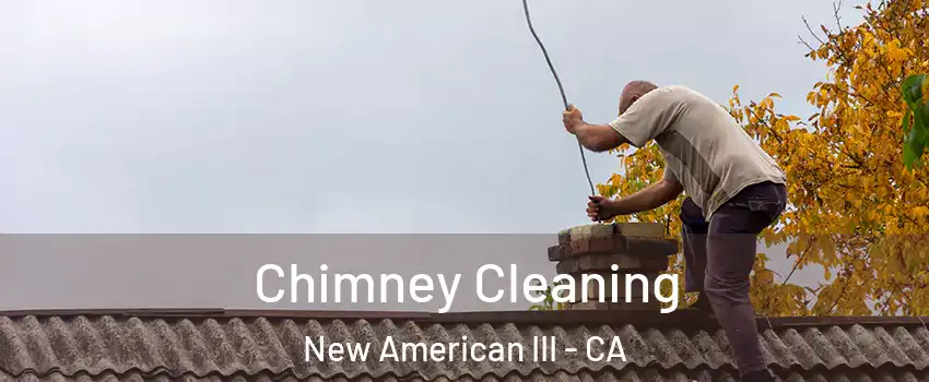 Chimney Cleaning New American III - CA