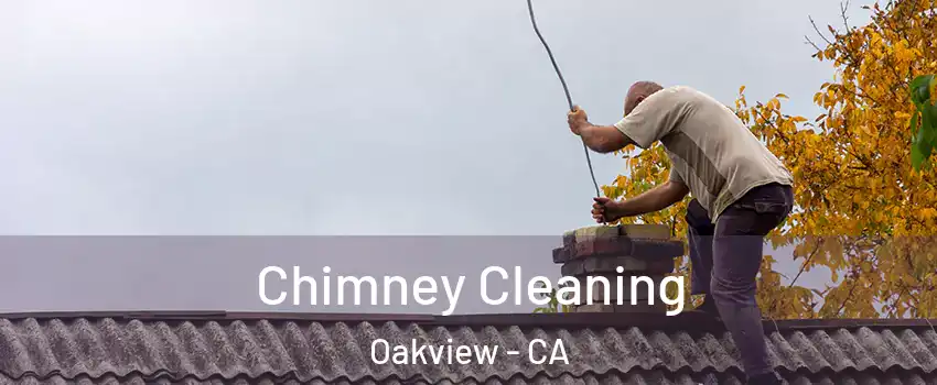 Chimney Cleaning Oakview - CA