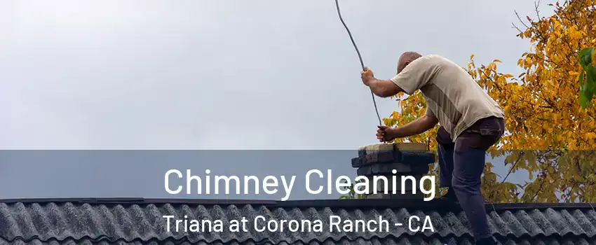 Chimney Cleaning Triana at Corona Ranch - CA