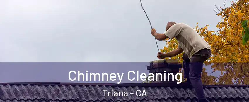 Chimney Cleaning Triana - CA