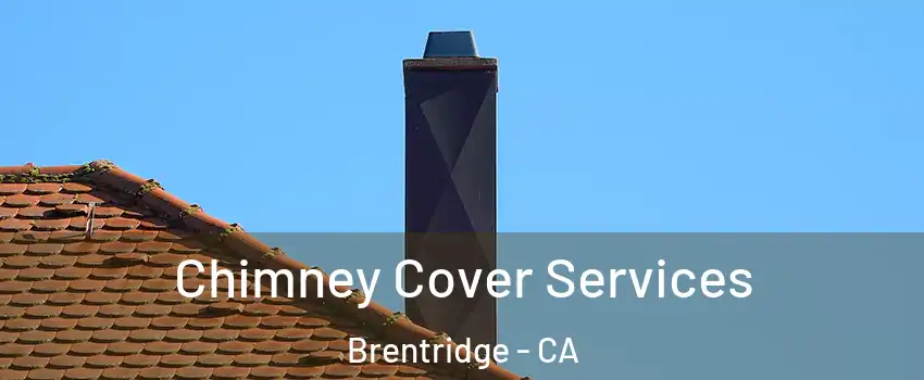 Chimney Cover Services Brentridge - CA
