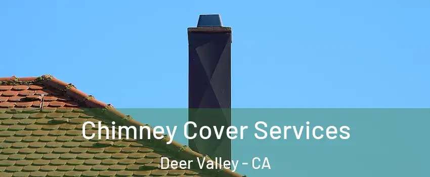 Chimney Cover Services Deer Valley - CA