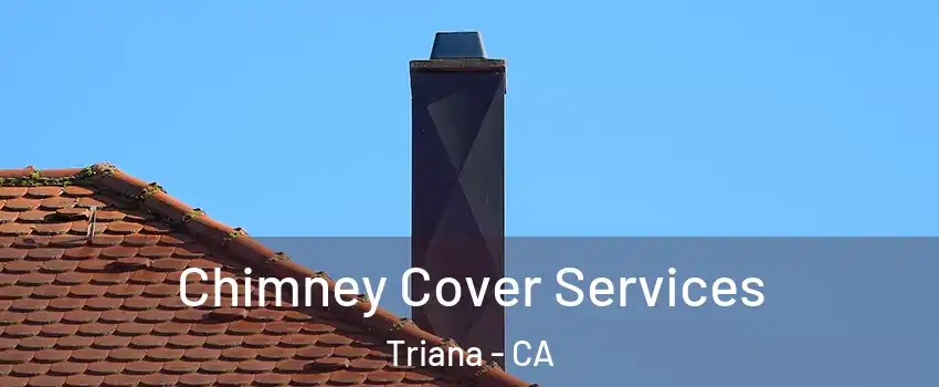 Chimney Cover Services Triana - CA