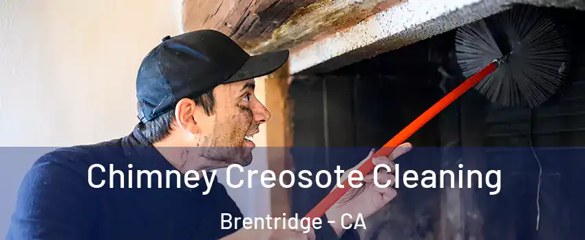 Chimney Creosote Cleaning Brentridge - CA