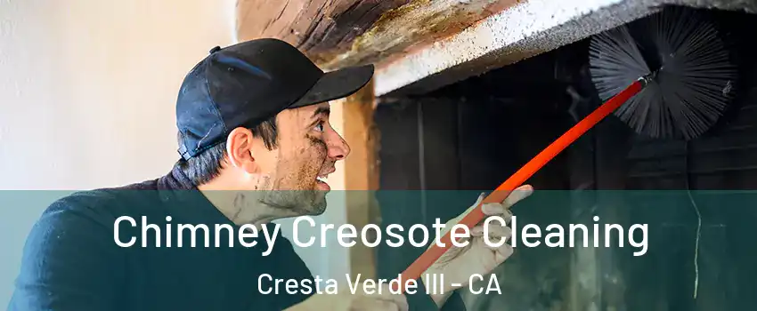 Chimney Creosote Cleaning Cresta Verde III - CA