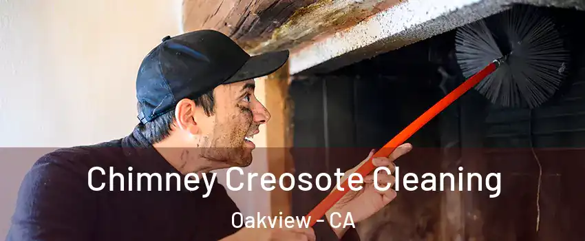 Chimney Creosote Cleaning Oakview - CA