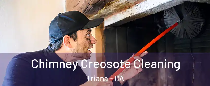 Chimney Creosote Cleaning Triana - CA