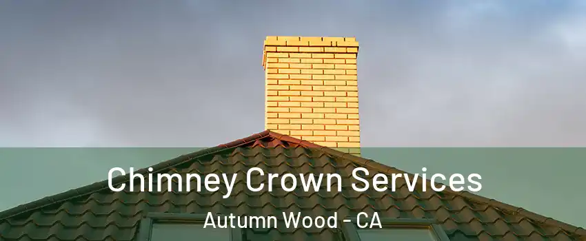 Chimney Crown Services Autumn Wood - CA