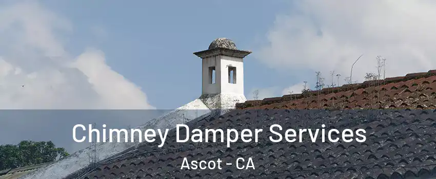 Chimney Damper Services Ascot - CA