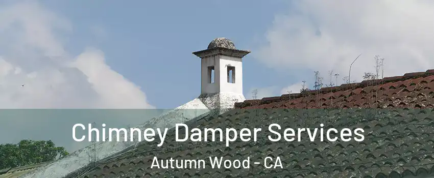 Chimney Damper Services Autumn Wood - CA