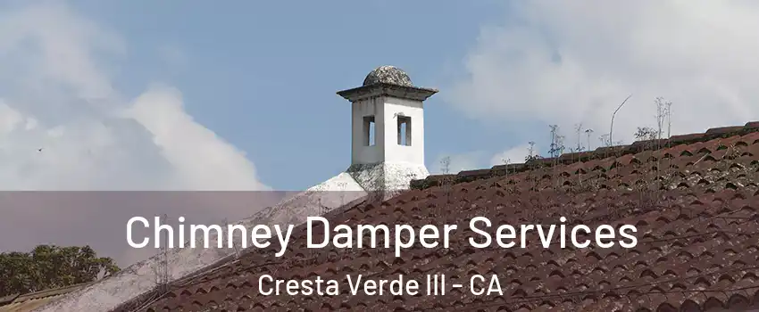 Chimney Damper Services Cresta Verde III - CA
