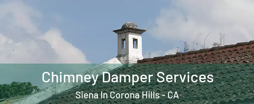 Chimney Damper Services Siena In Corona Hills - CA