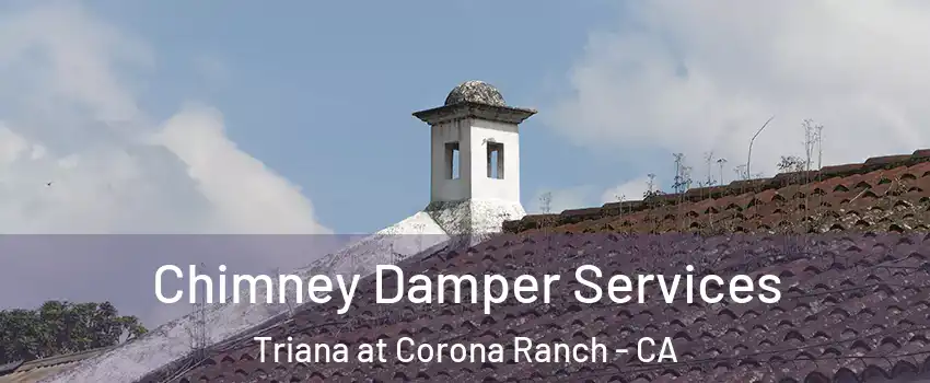 Chimney Damper Services Triana at Corona Ranch - CA