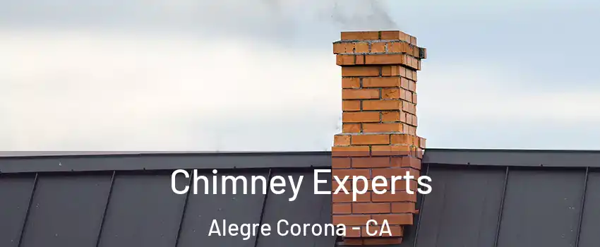 Chimney Experts Alegre Corona - CA