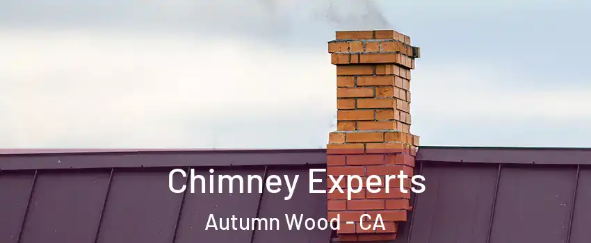 Chimney Experts Autumn Wood - CA