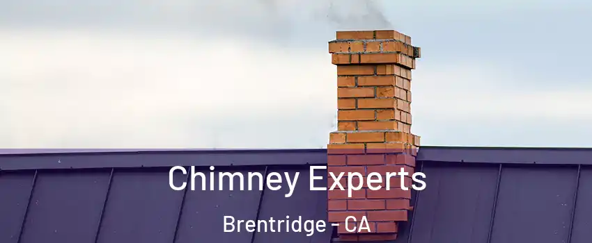 Chimney Experts Brentridge - CA