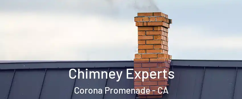 Chimney Experts Corona Promenade - CA
