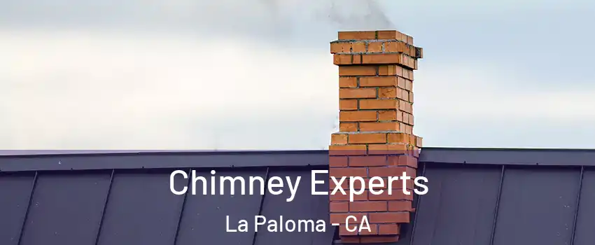 Chimney Experts La Paloma - CA