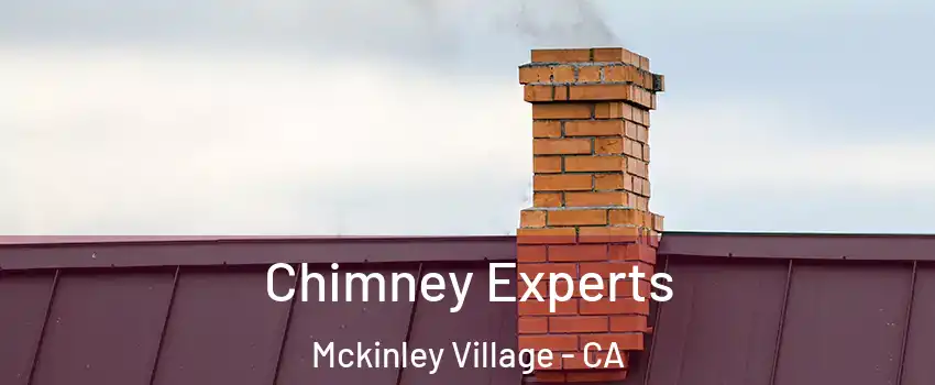 Chimney Experts Mckinley Village - CA