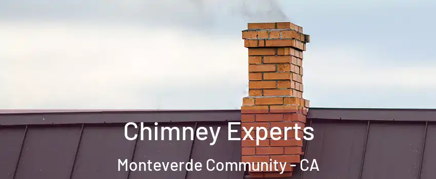 Chimney Experts Monteverde Community - CA