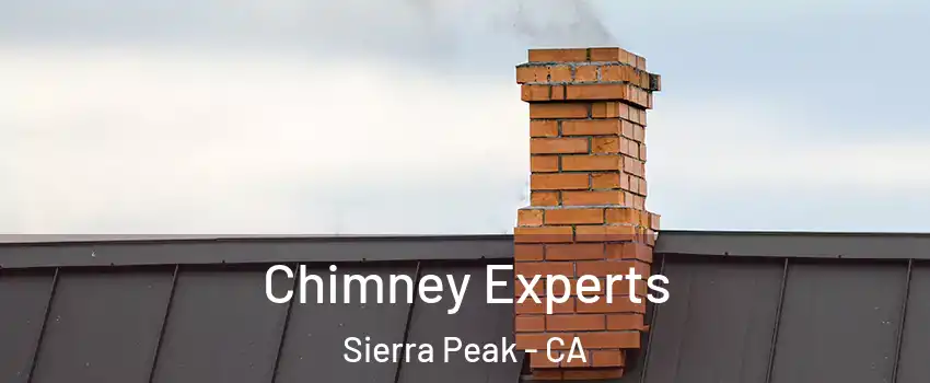 Chimney Experts Sierra Peak - CA